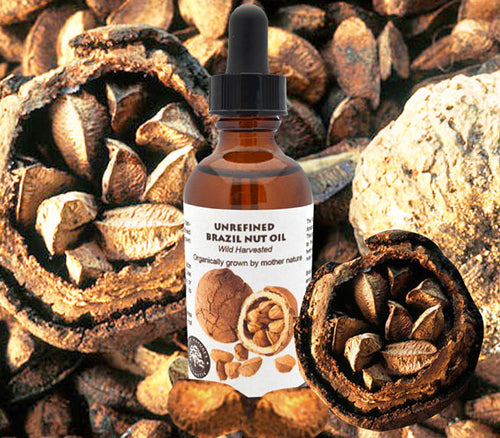 Organic Virgin Brazil Nut Oil