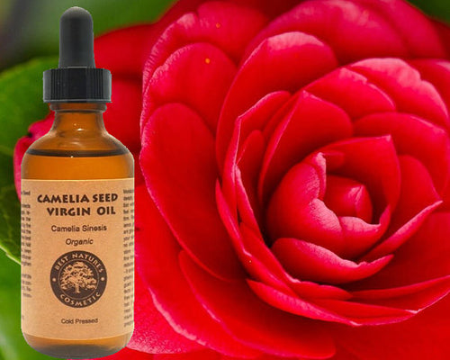 Organic cold-pressed unrefined Camellia Seed Oil bottle with golden oil and camellia flowers